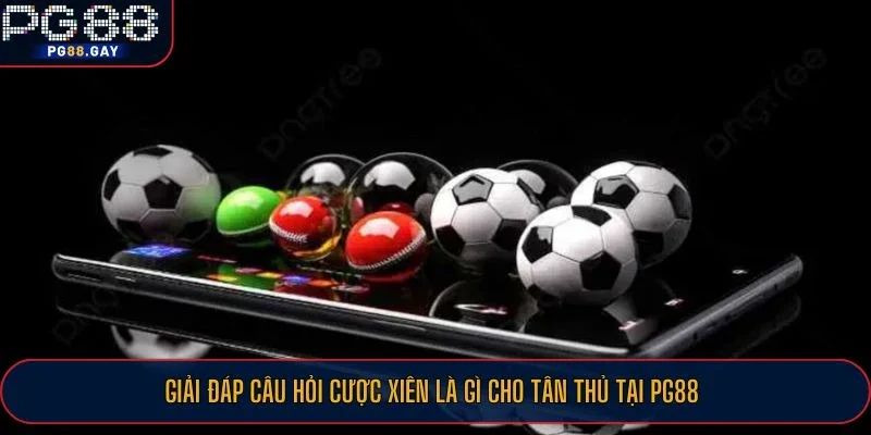 Giải đáp câu hỏi cược xiên là gì cho tân thủ tại PG88