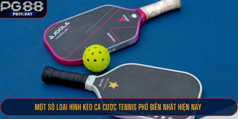 Một số loại hình kèo cá cược tennis phổ biến nhất hiện nay
