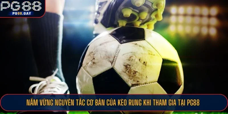 Nắm vững nguyên tắc cơ bản của kèo rung khi tham gia tại PG88