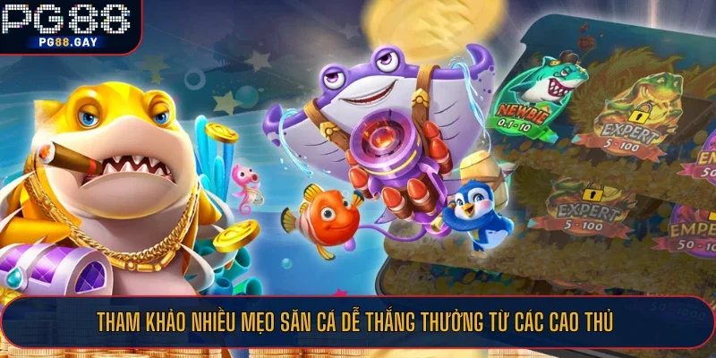Tham khảo nhiều mẹo săn cá dễ thắng thưởng từ các cao thủ